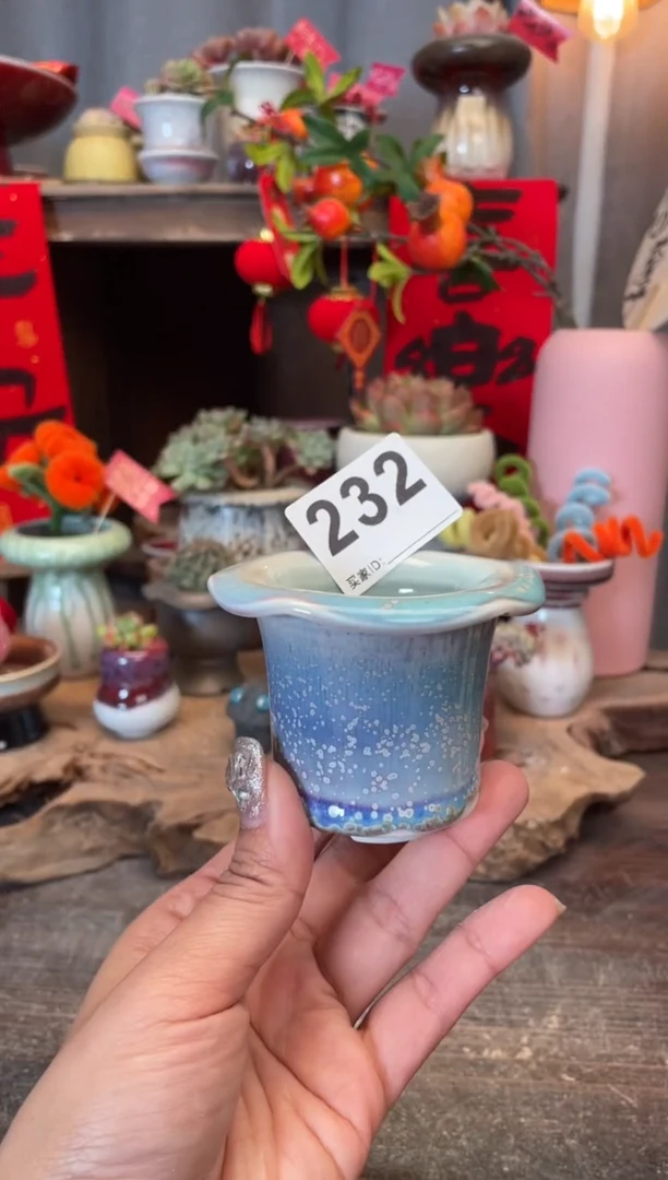 【闪购商品】摆件232知木小芳花盆