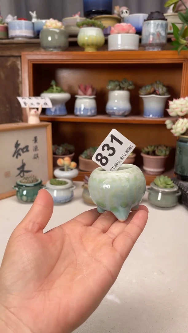 瓷片831知木小芳花盆
