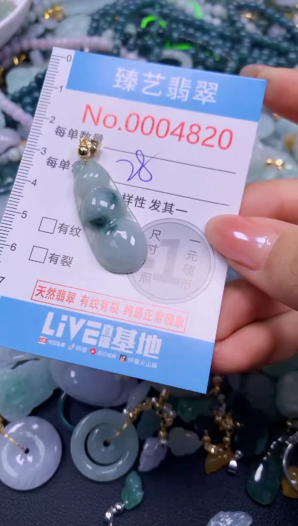 颈饰未镶嵌翡翠4820