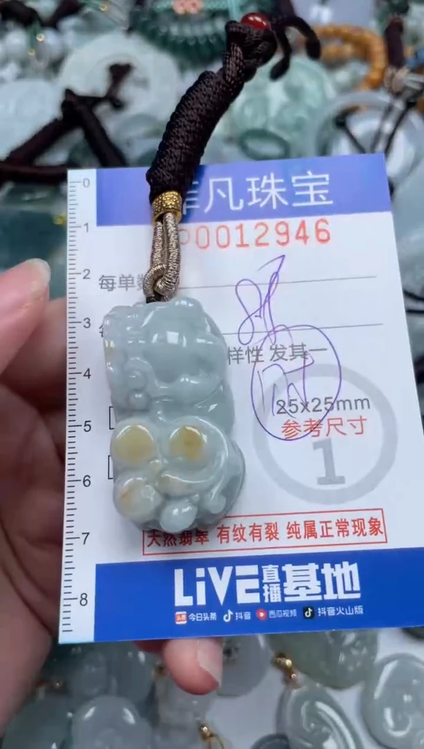 颈饰未镶嵌翡翠12946