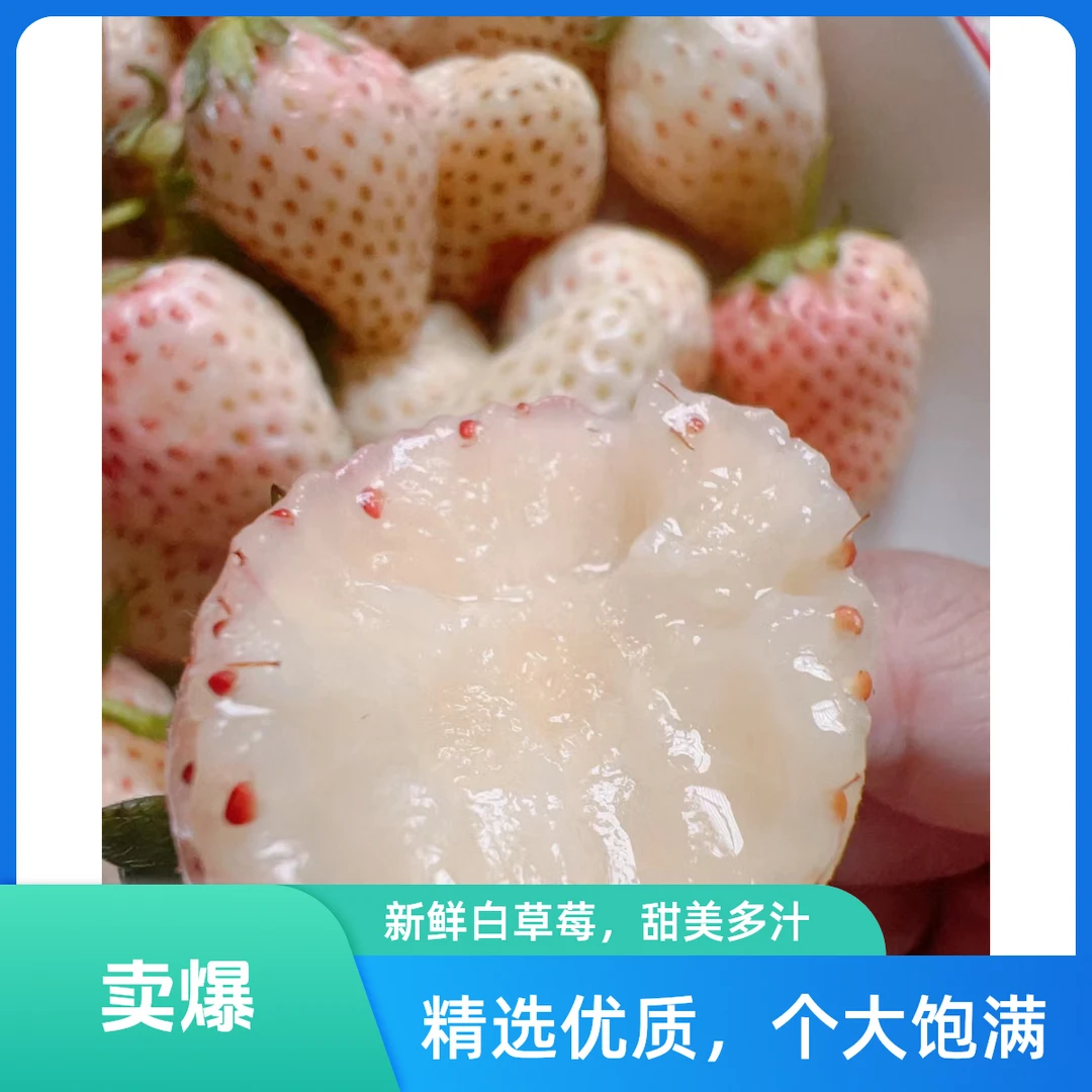 450克左右淡雪白草莓，整个果