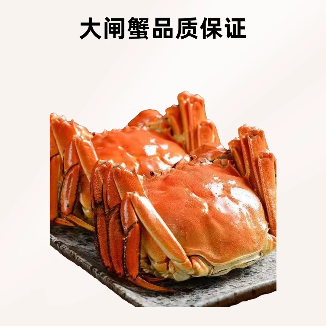 【15只公蟹/10只母蟹】江苏精品蟹河蟹规格1.4-1.6两公母蟹顺丰冷链