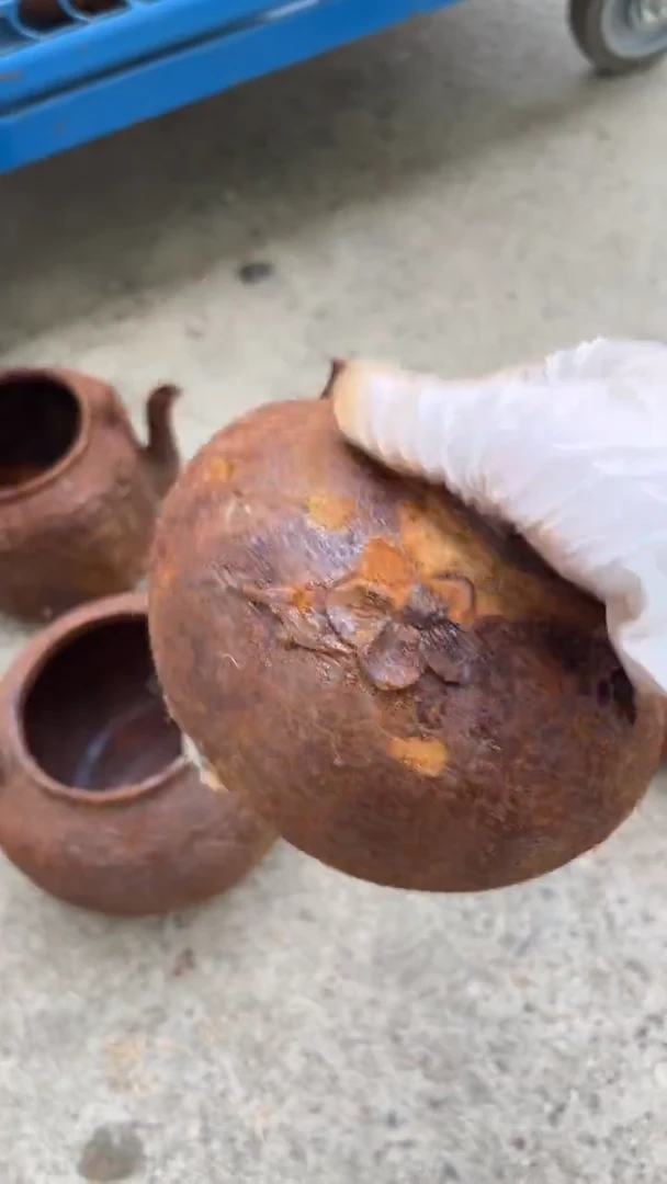 东****都壶壶壶壶壶壶壶壶壶壶壶