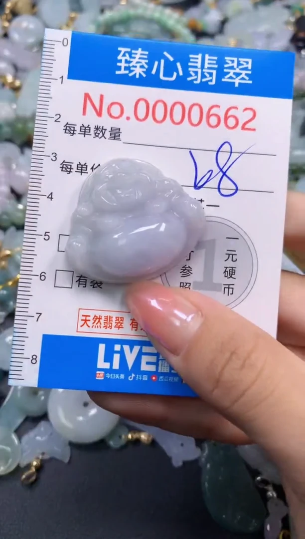 颈饰未镶嵌翡翠662