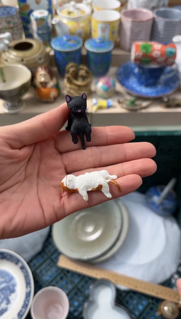 【闪购商品】瓷片AAAAAAAAAAAAA