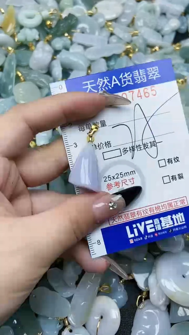 【闪购商品】翡翠颈饰未镶嵌天然A货翡翠