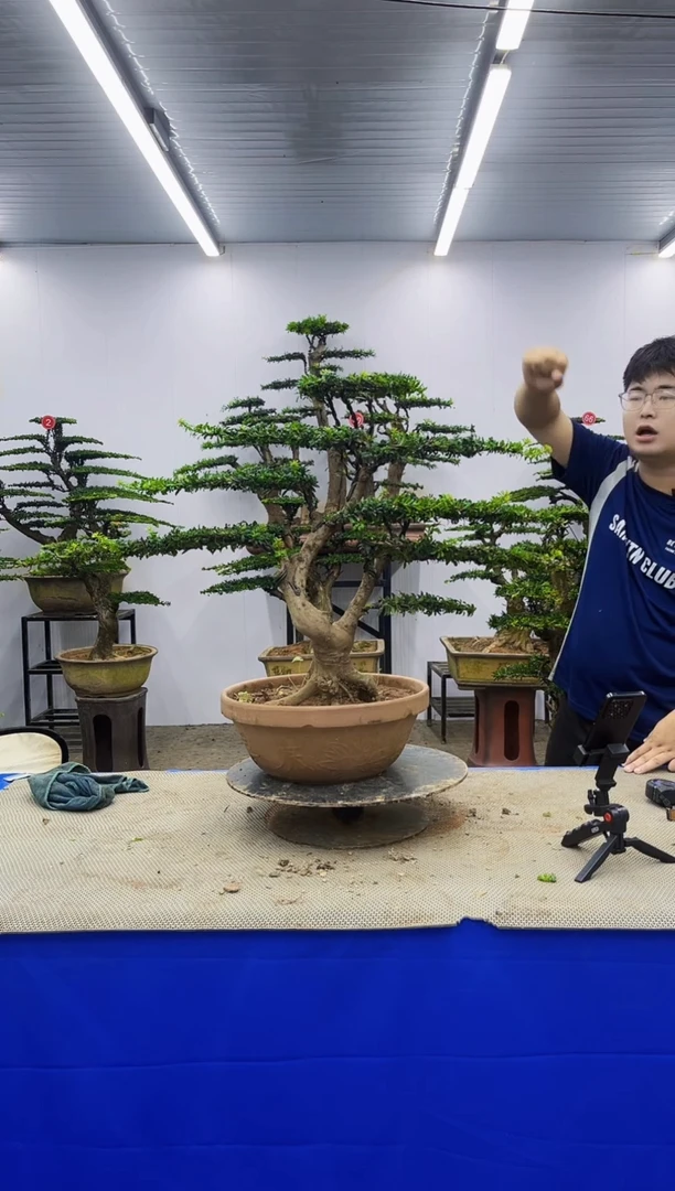 无花朵一物一拍，所见即所得