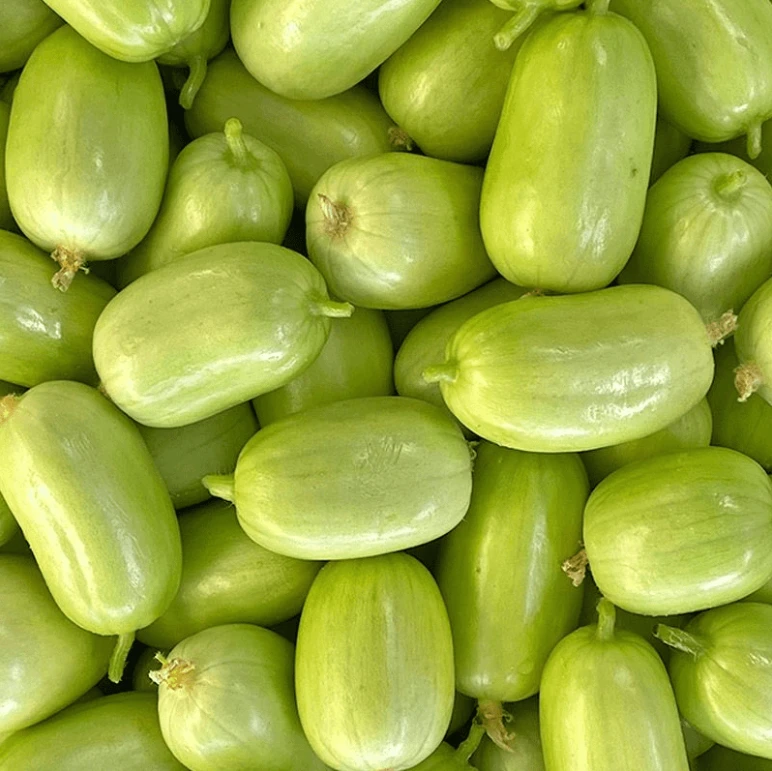 产地直发5斤整箱山东潍坊现摘新鲜拇指小黄瓜玉女黄瓜水果黄瓜
