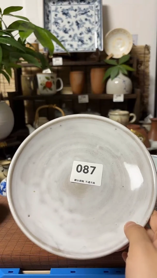 【闪购商品】瓷片喵喵家都是大漂亮