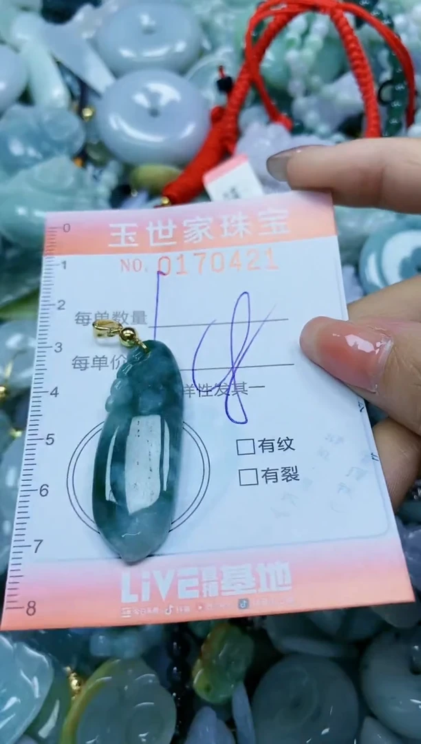 【闪购商品】翡翠颈饰未镶嵌闪购0170421