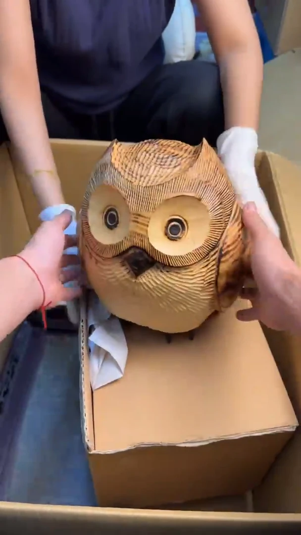 瓷片雨*88888888      298