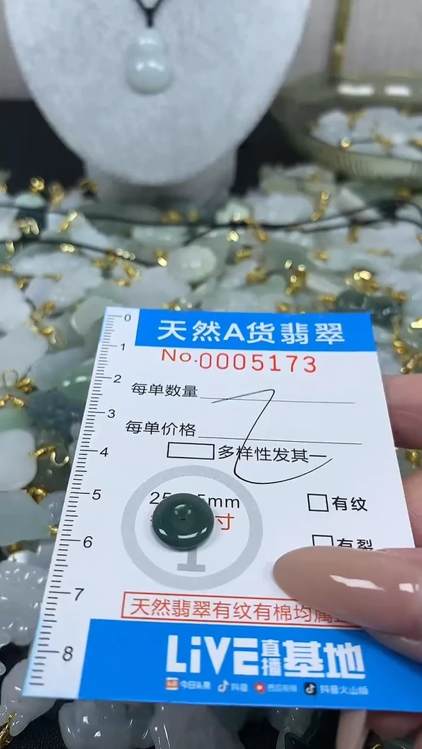 翡翠未镶嵌颈饰净货挂件-5173