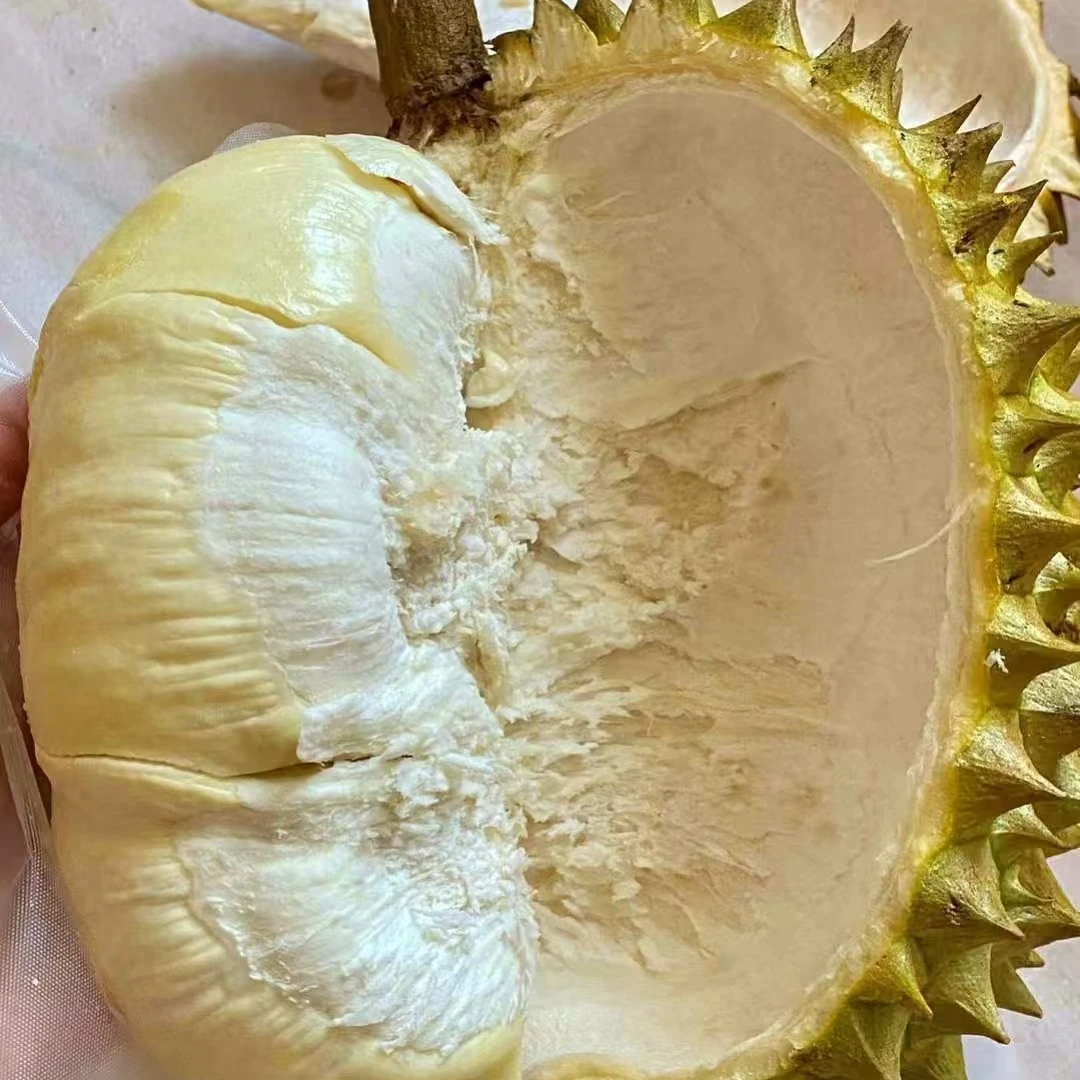 新鲜越南金枕榴莲【4.57KG】【核大】24.9/斤金枕越南社会主义共和国
