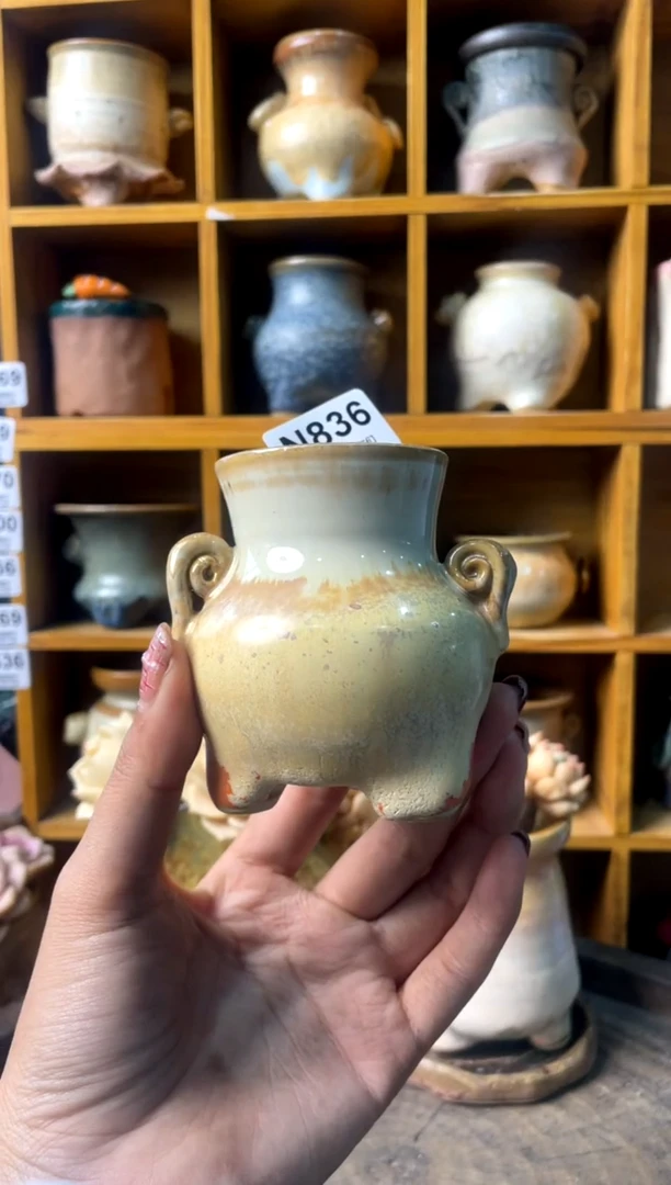 836内口4【多肉花盆多肉盆】