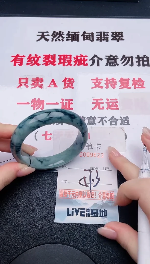 未镶嵌手镯翡翠23