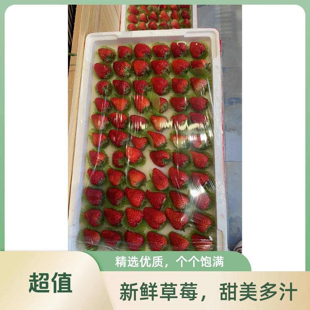 丹东99大板草莓3.5斤