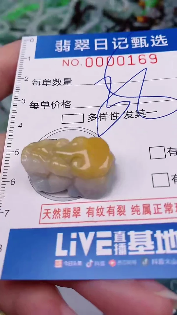 【闪购商品】翡翠颈饰未镶嵌00000169