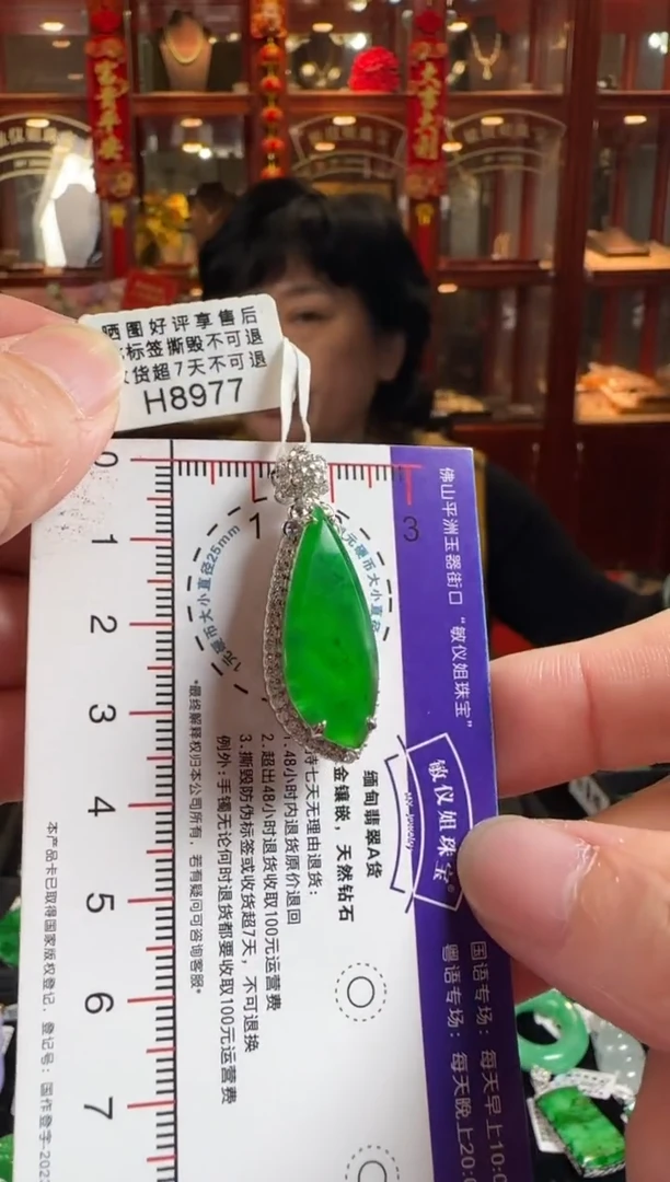 颈饰18K金镶嵌翡翠H8977冰辣绿滴水