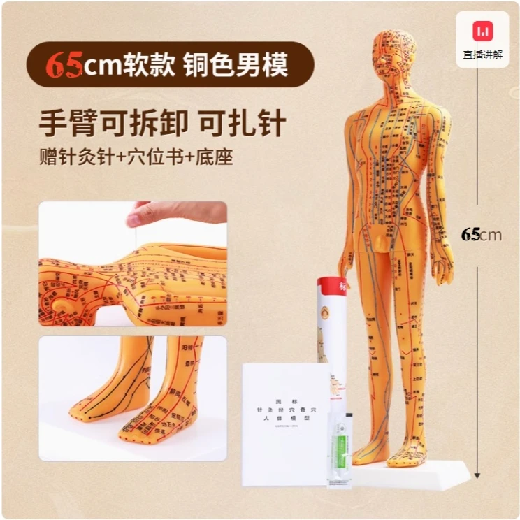 针灸穴位人体模型全身家用中医十二经络图小皮人硅胶扎针练习铜人