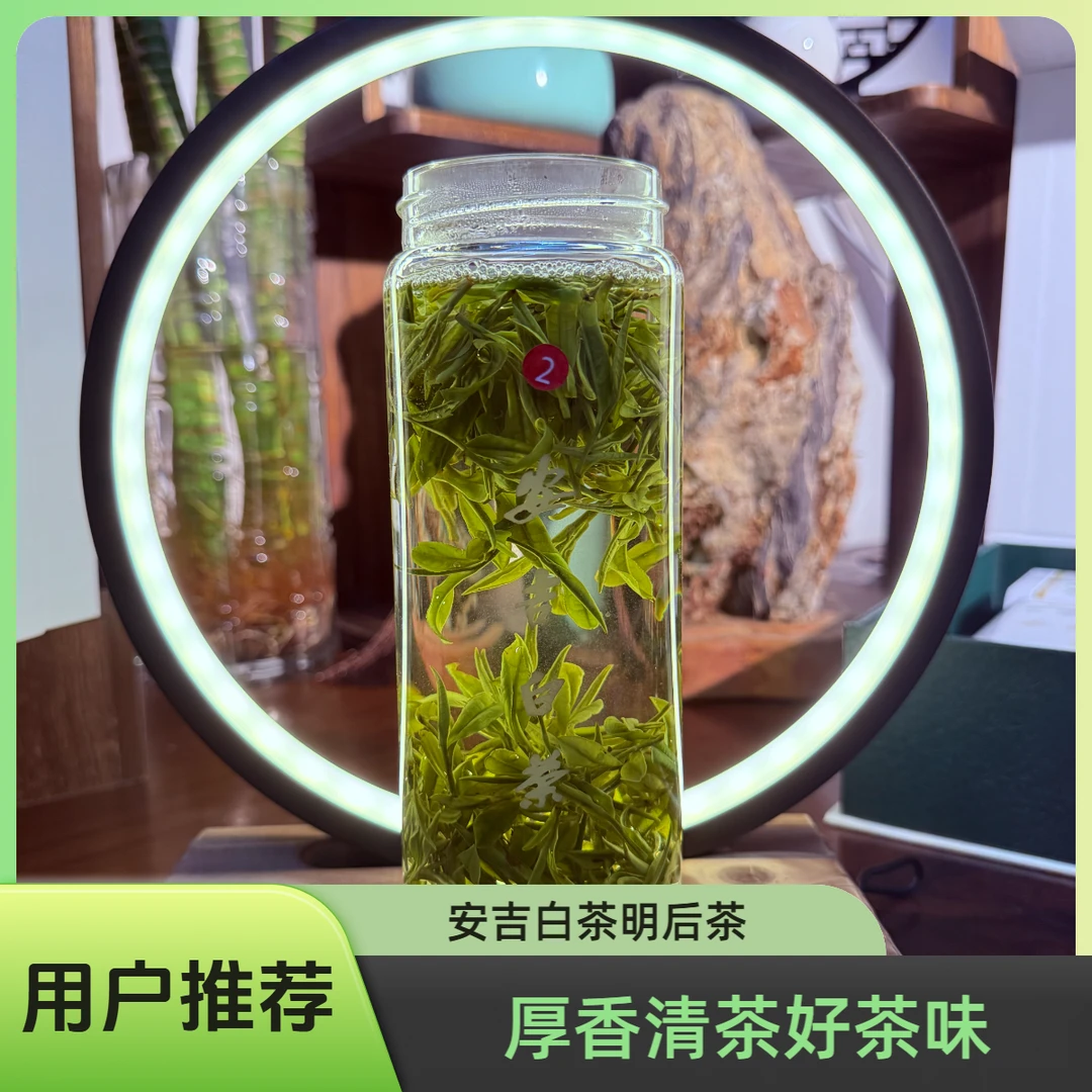 2号（厚香清茶）2025年新茶不老坞安吉白茶 春茶明后一级茶