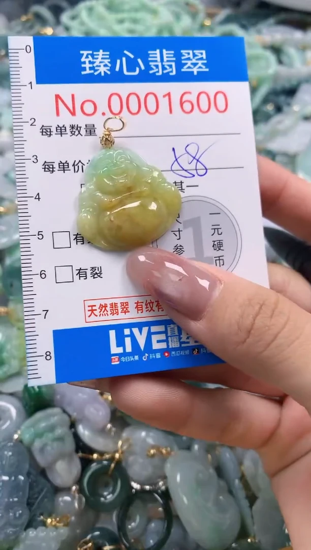 翡翠未镶嵌颈饰含绳0001600