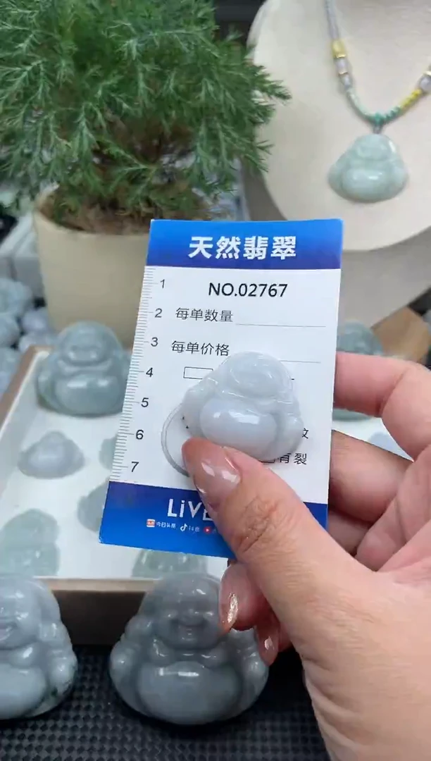 颈饰未镶嵌翡翠纯天然A货翡翠2767
