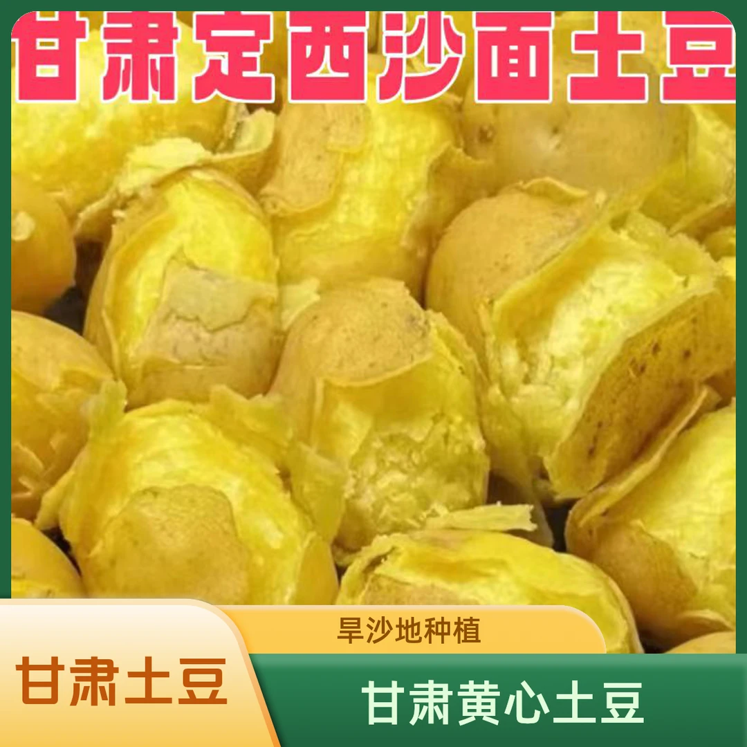 陇百味甘肃定西黄心土豆沙面软糯新鲜旱沙地土豆净重5斤/9斤包邮