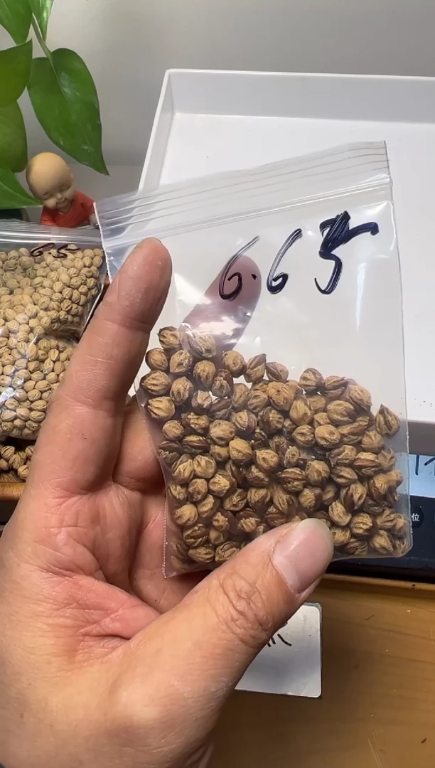 【闪购商品】柏香籽/百香籽吊坠6.65