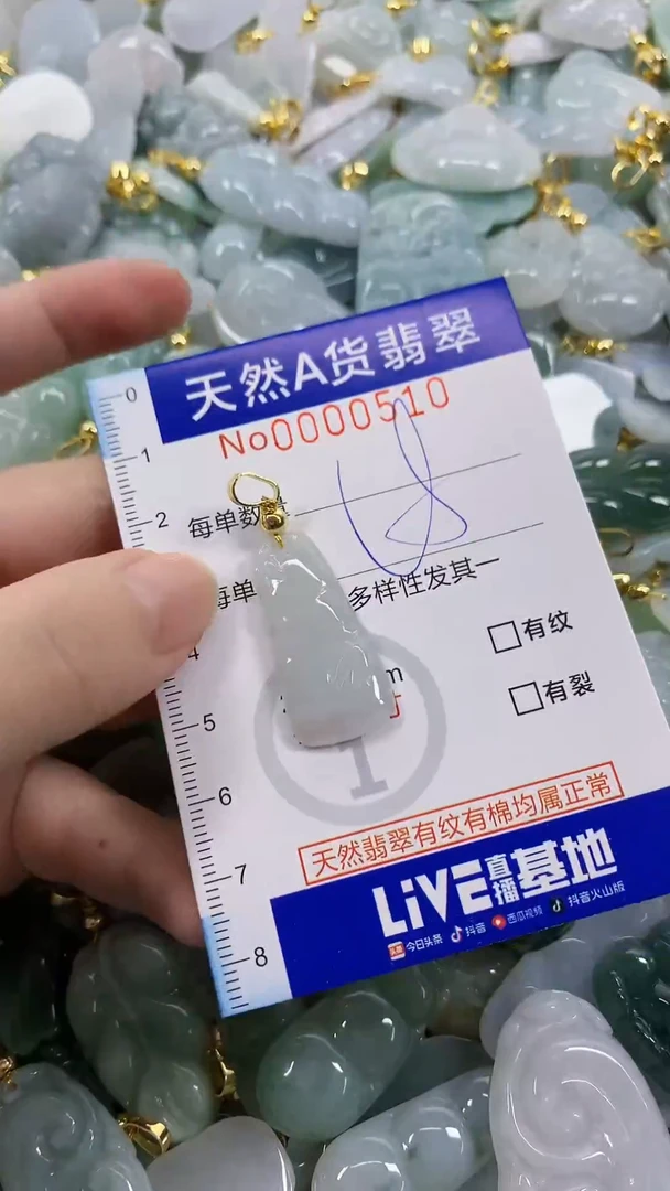 颈饰未镶嵌翡翠天然A货翡翠