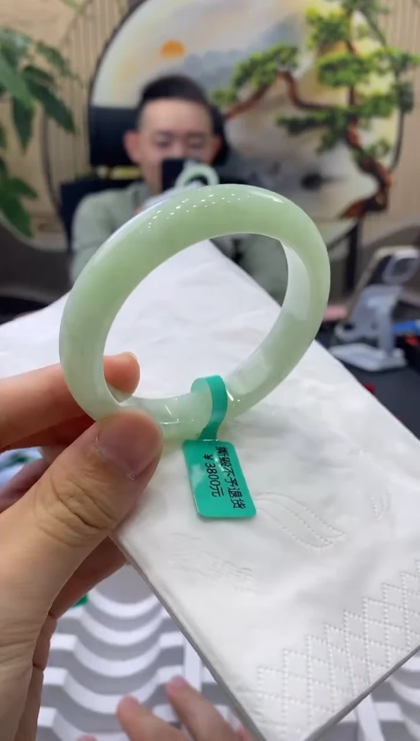 未镶嵌手镯翡翠8143