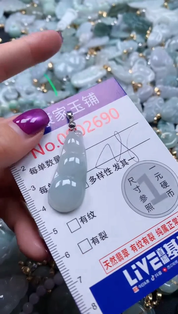 颈饰未镶嵌翡翠2670