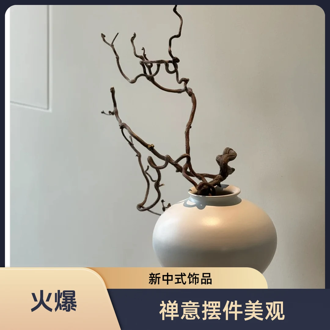 【植男家】天然龙枣枝干枝 诧寂风 新中式禅意居家摆件干花