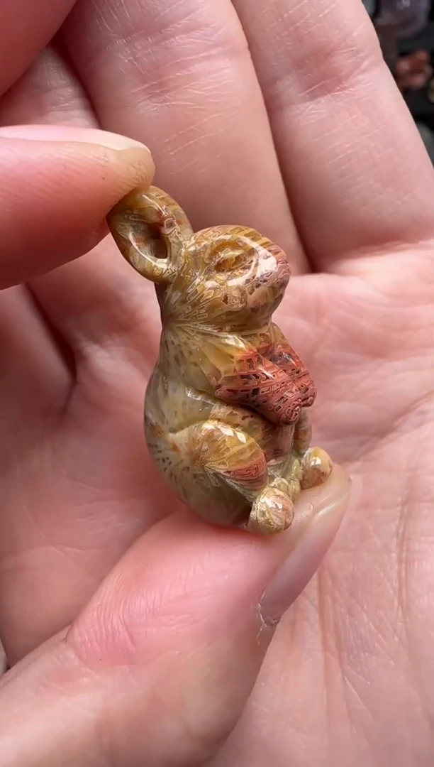 颈饰未镶嵌硅化珊瑚（珊瑚玉）186