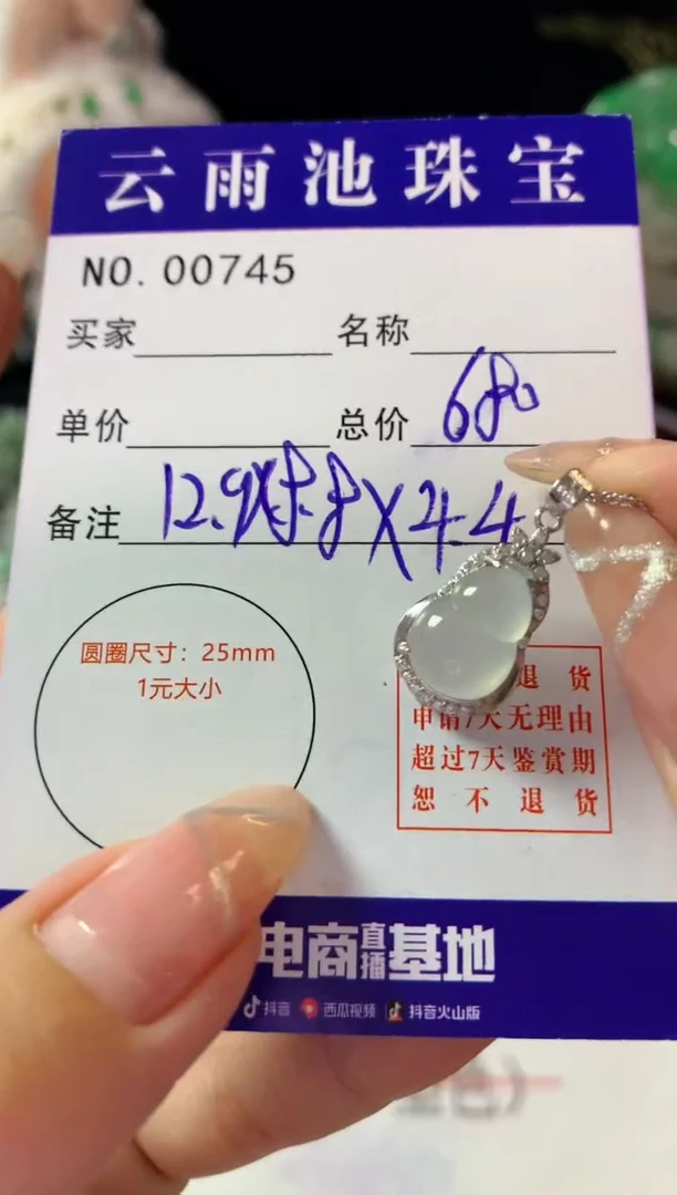 颈饰银S925镶嵌翡翠翡翠