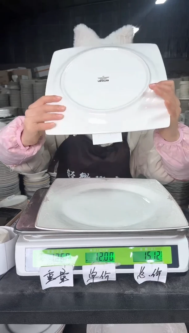 新骨瓷D747  12寸  2个