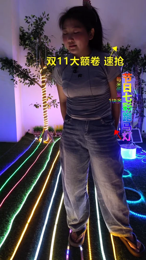 三色变光 16米+1个插头