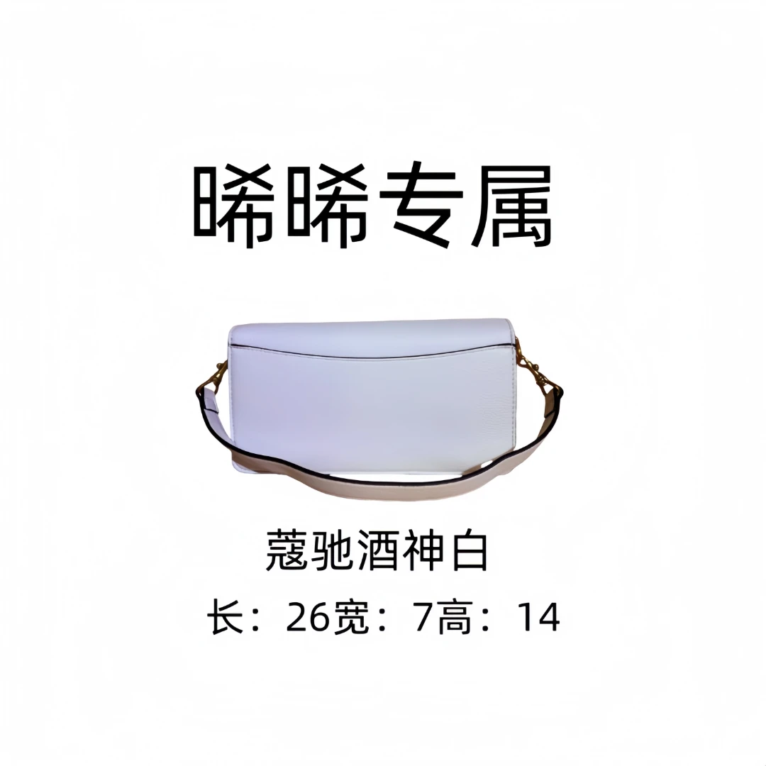 E253 新款百搭女包-SH075白