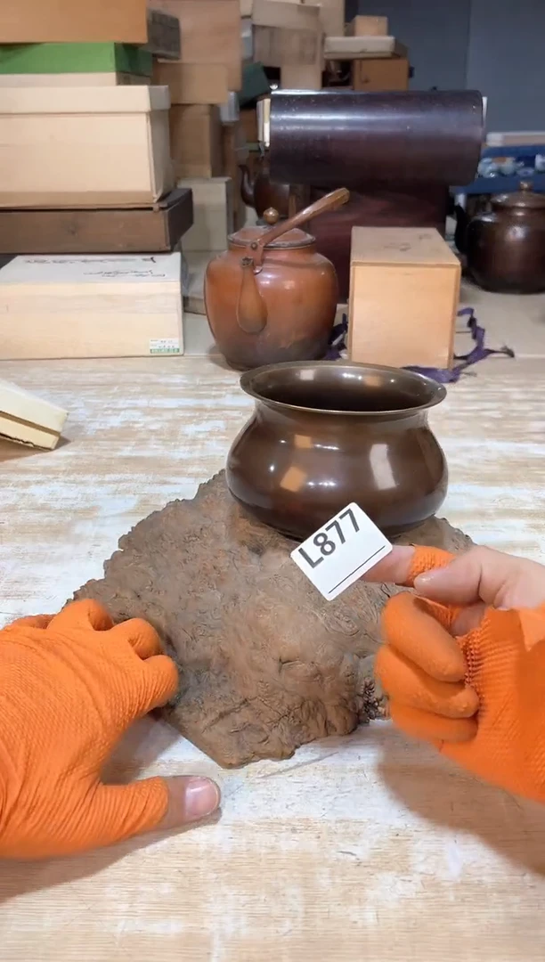 y*n已上架！直播闪购商品已上架！