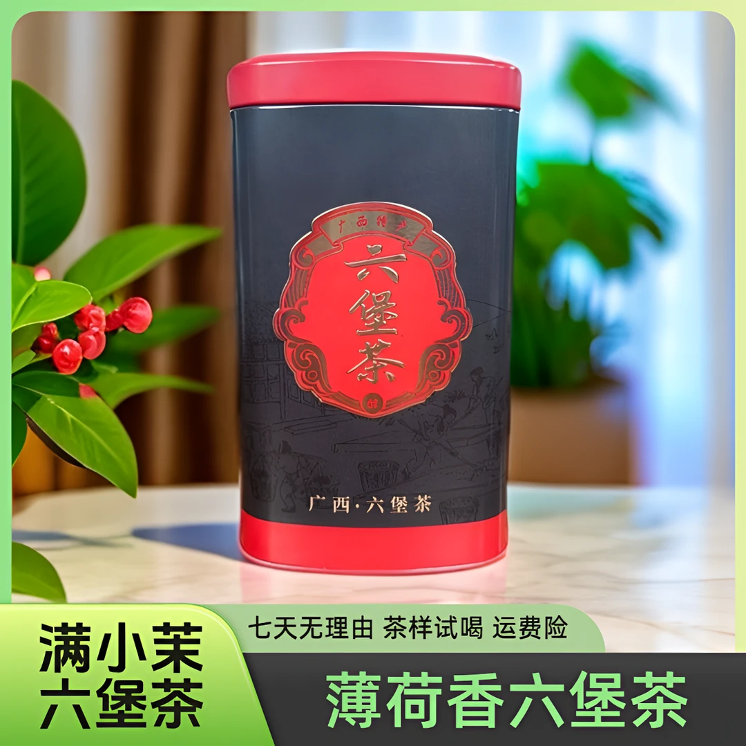 满小茉 2010薄荷香六堡茶 广西梧州 薄荷香浓郁拍二发三