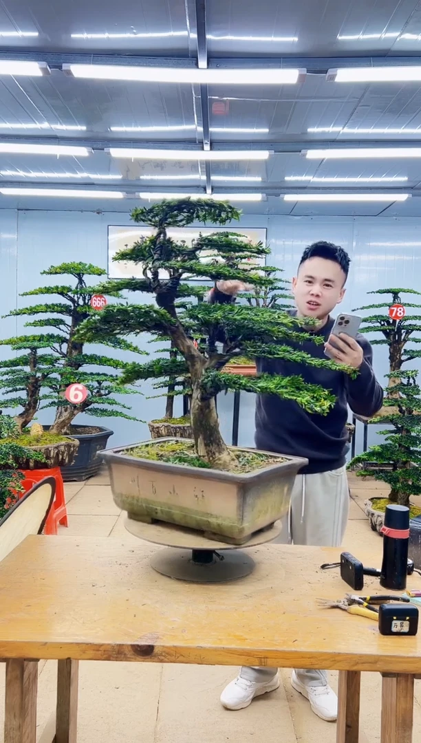 无花朵000000000000000000000000