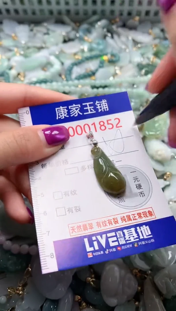 颈饰未镶嵌翡翠1852