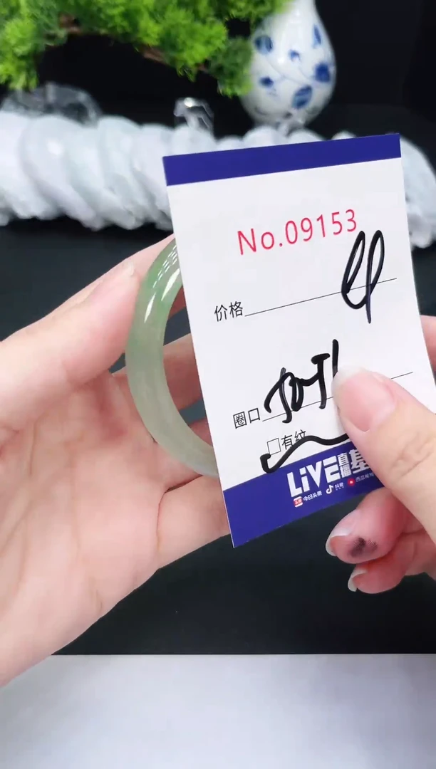 未镶嵌手镯翡翠9153
