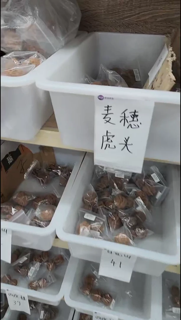 把件核桃【虎头麦穗虎头】#4022