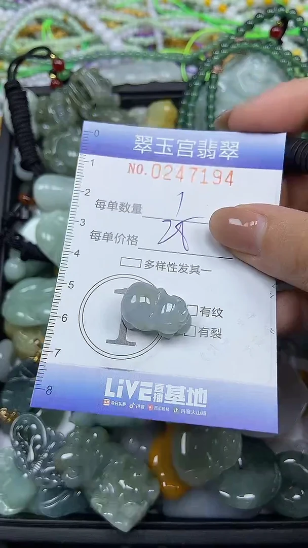 颈饰未镶嵌翡翠闪购C0247194