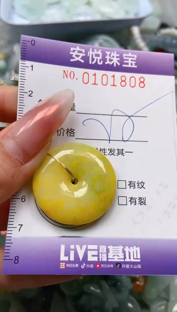 【闪购商品】翡翠颈饰未镶嵌闪购0101808