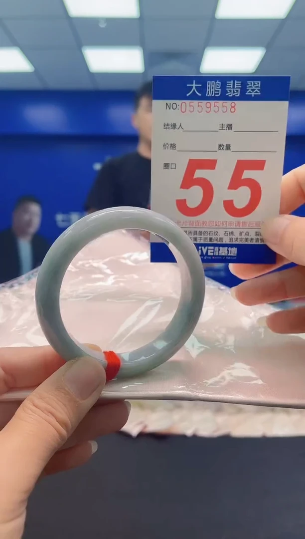 未镶嵌手镯翡翠AAAAAAAAA