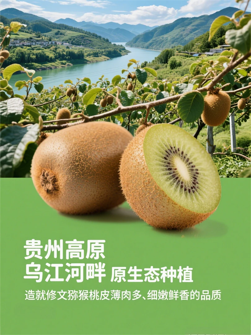 正宗贵州修文猕猴桃·高山现摘，维C爆棚