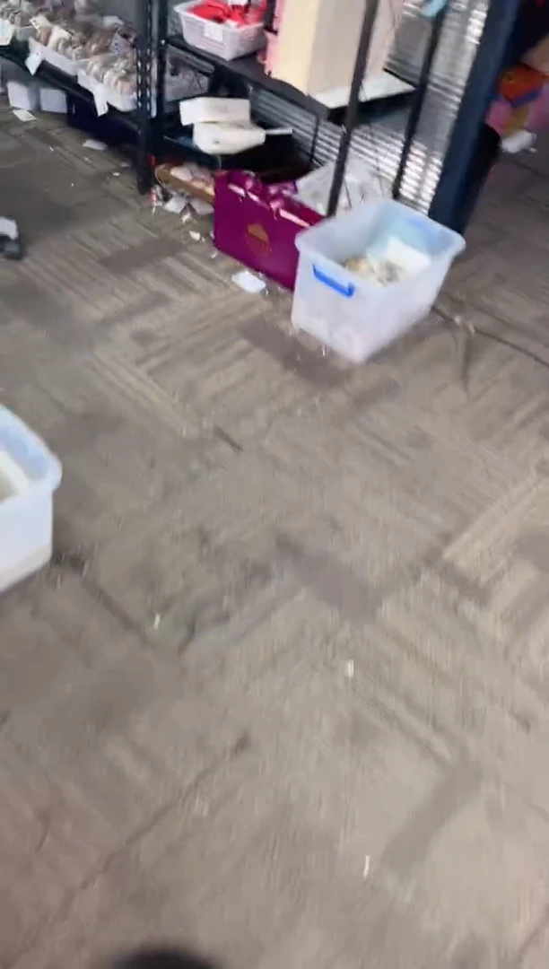 未镶嵌手镯石英质玉尘*丷圈口（赠品镯心）