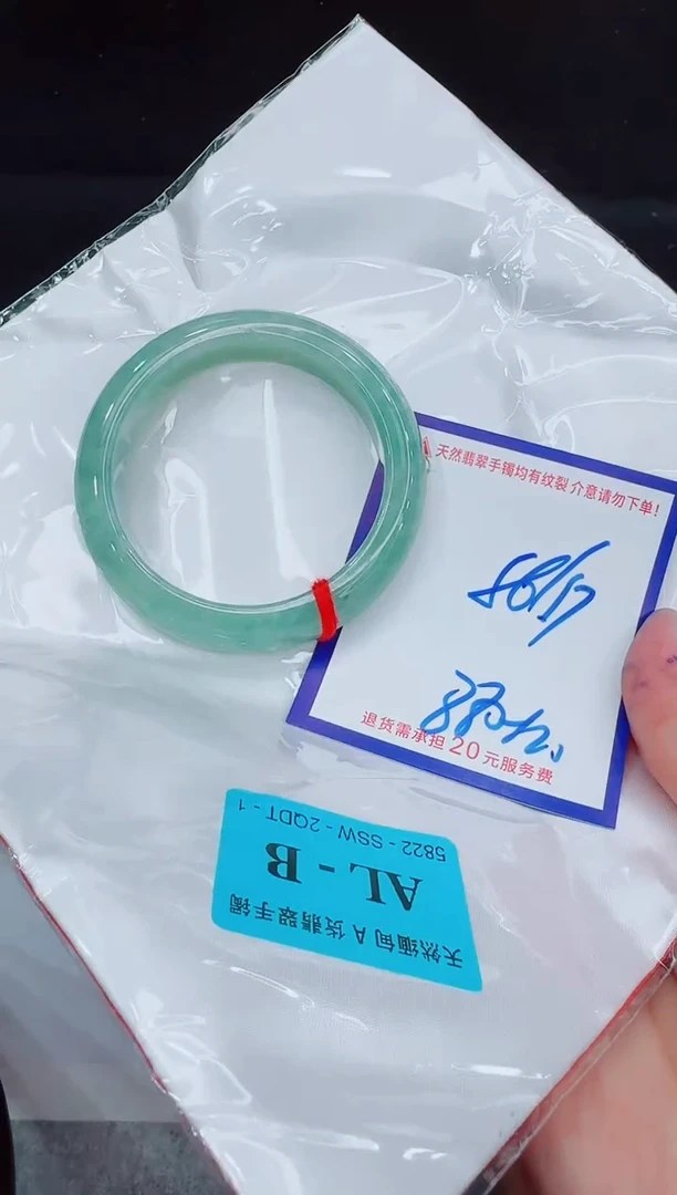 未镶嵌手镯翡翠11111111