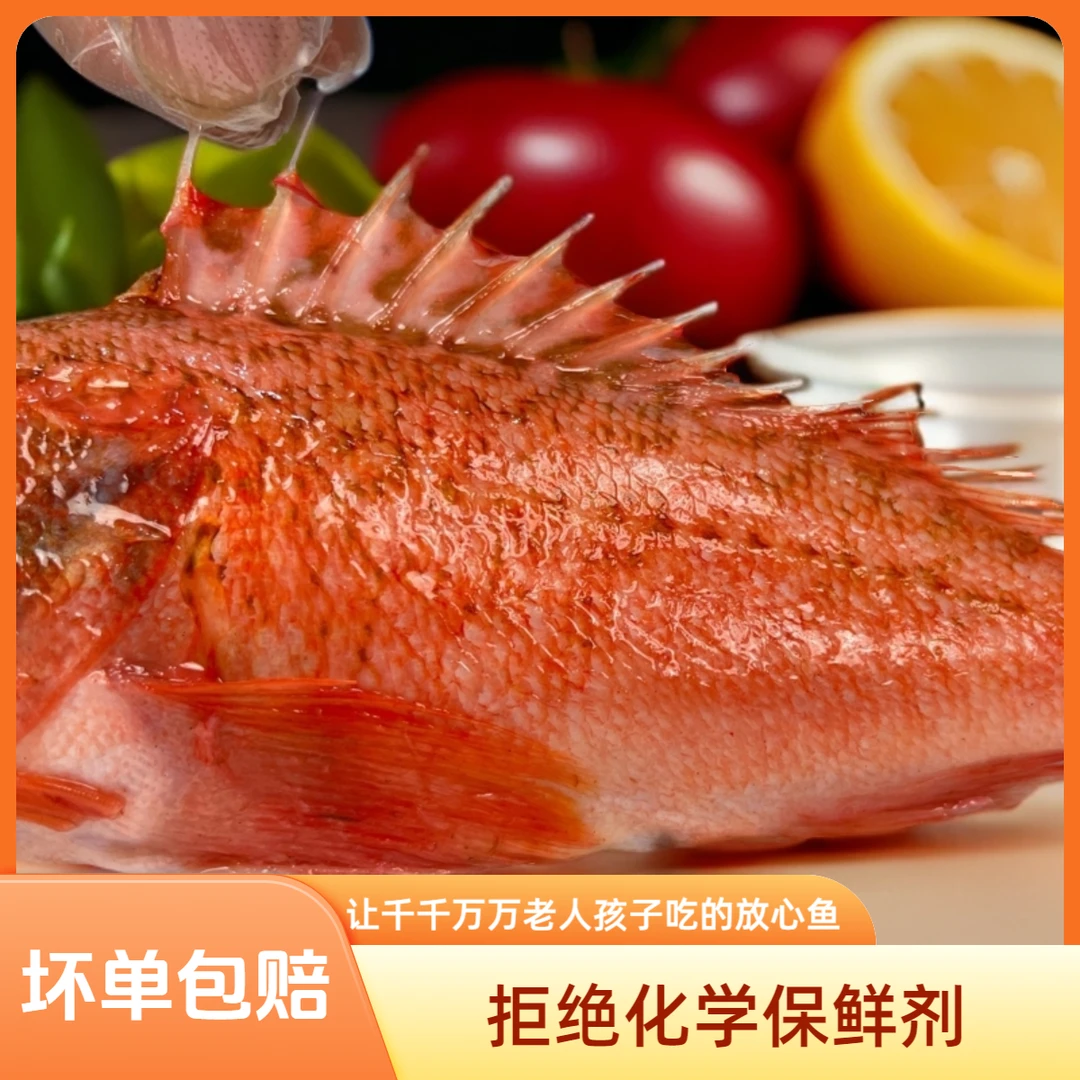 非养殖石斑鱼美味营养丰富石狗公虎头斑黑腹鲉鱼海鲜顺丰发货